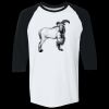 Adult Heavy Cotton™ Three-Quarter Raglan Sleeve T-Shirt Thumbnail